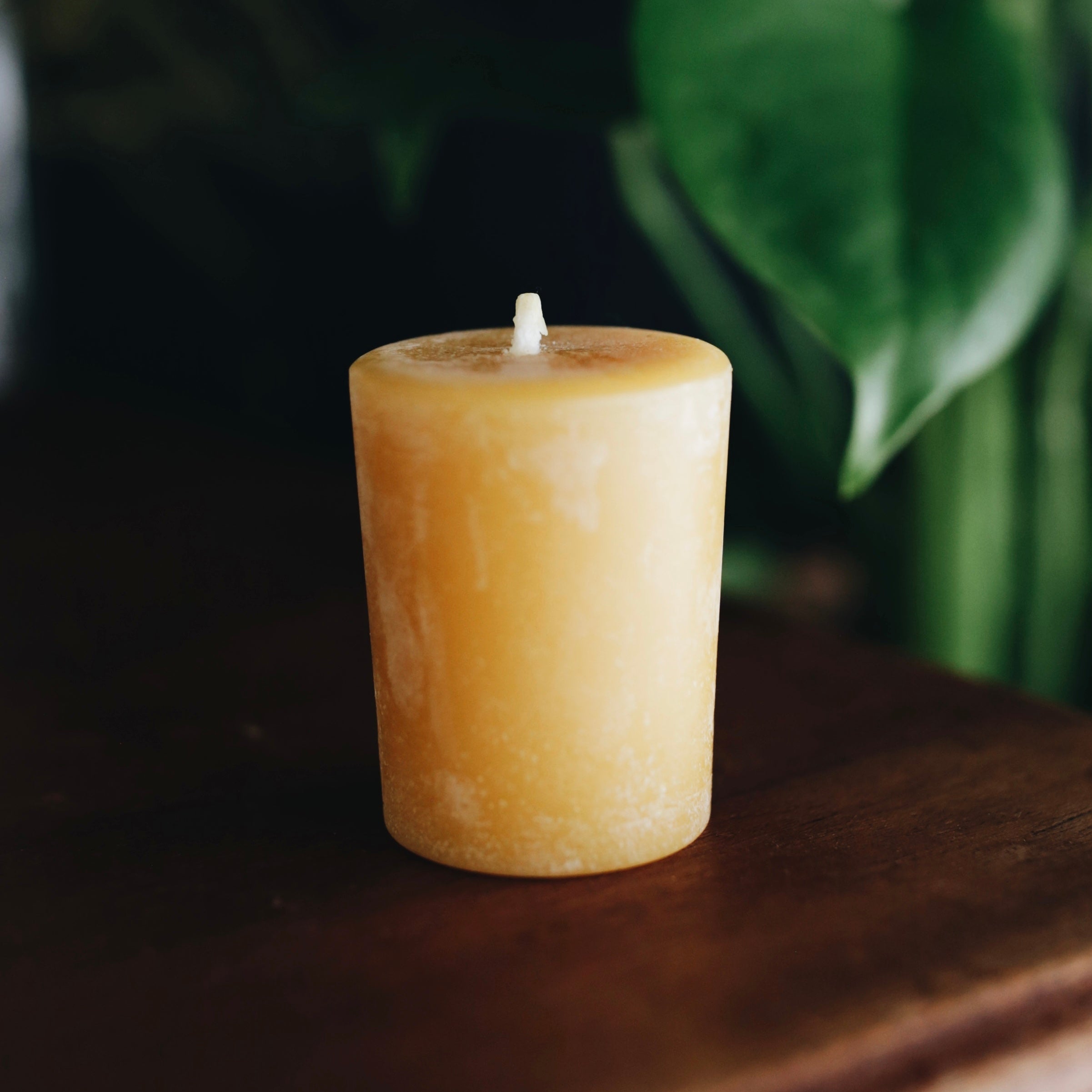 Beeswax Pillar Candles │ Kindred Homestead Supply Vancouver, WA